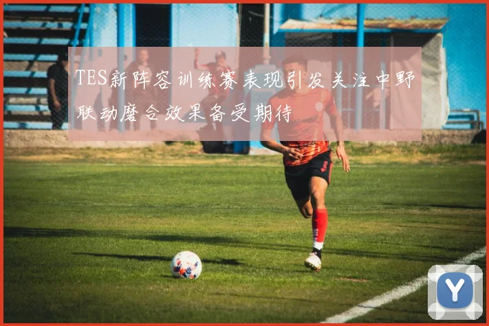 TES新阵容训练赛表现引发关注中野联动磨合效果备受期待