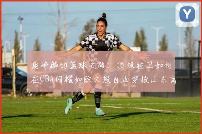 庞峥麟的篮球之路：顶级控卫如何在CBA闪耀如欧文般自由穿梭山东高速